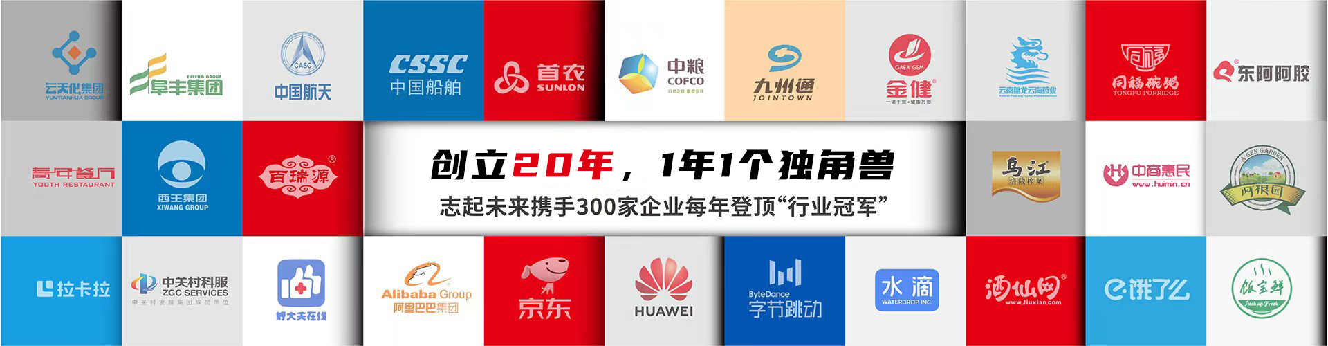 北京志起未來咨詢集團（簡稱CBCT或志起未來），成立于2005年，總部位于北京，是一家創新品牌營銷策劃公司，入選中國十大策劃公司，在公司戰略品牌營銷、戰略定位、品牌策劃、農產品區域公用品牌等已經服務15年，15年來致力于企業、產業及區域經濟的發展研究，為企業和政府提供決策依據和資源支持。